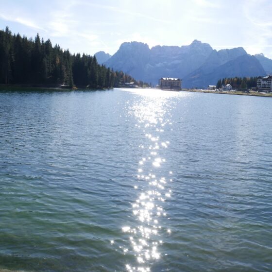 The curse of instability: Reuben as a case study. Cabiojinia