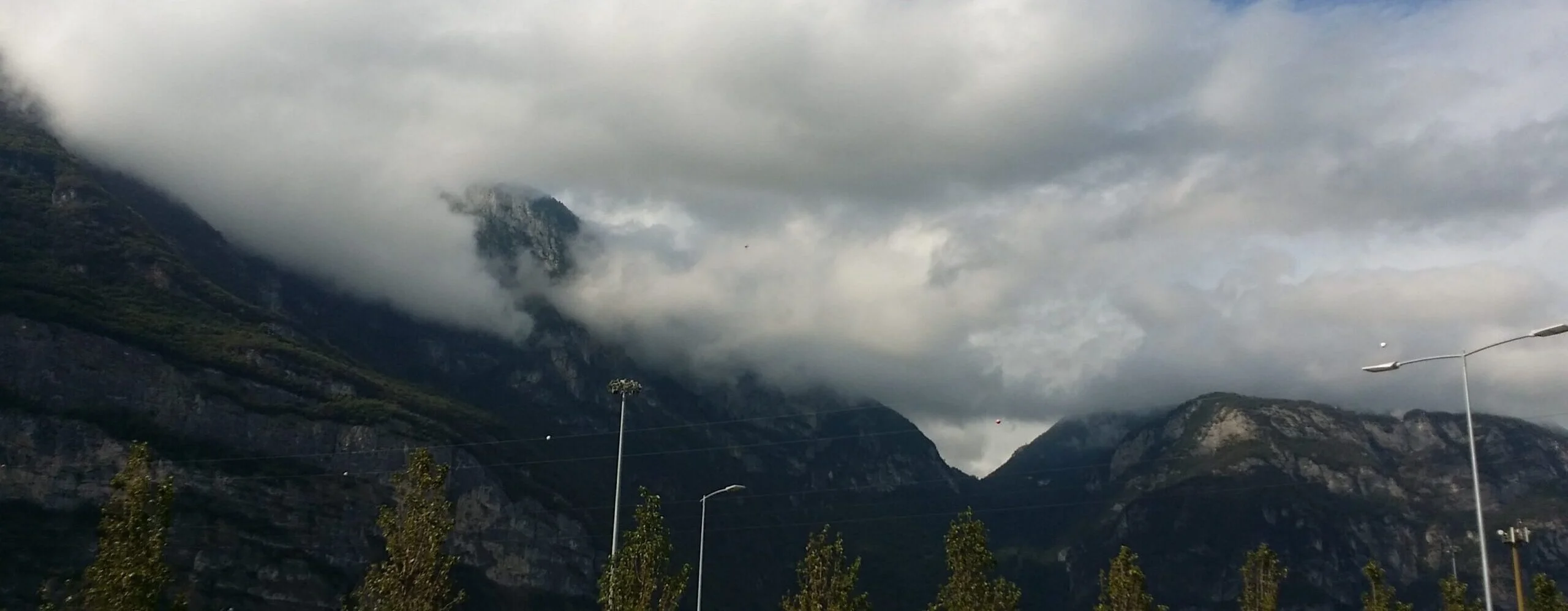 Skillful in wisdom. Cabiojinia