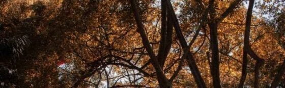 A Lean Soul as seen in Psalms 106:15 (Part 2) by cabiojinia