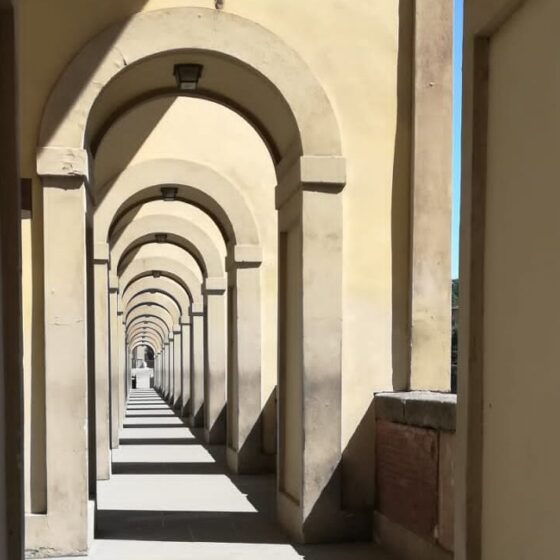 Literature, culture and tongue of a people by Cabiojinia