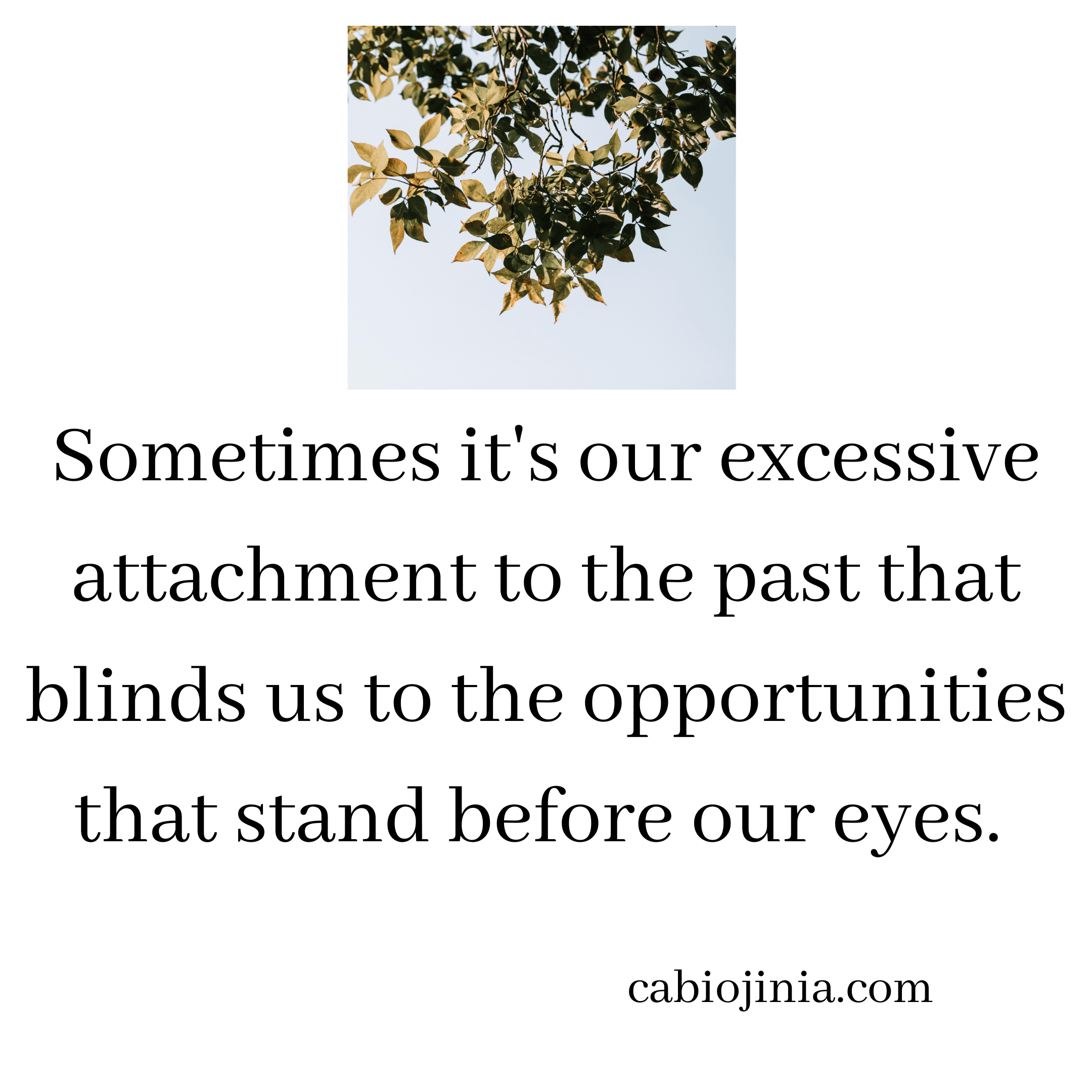 Excessive attachment to the past blinds us. Cabiojinia