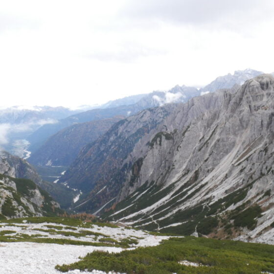 Barzillai, my octogenarian friend. Cabiojinia