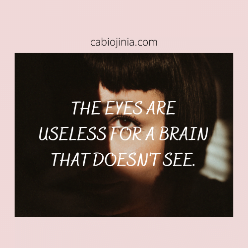 The eyes are useless for a brain that doesn't see. Cabiojinia