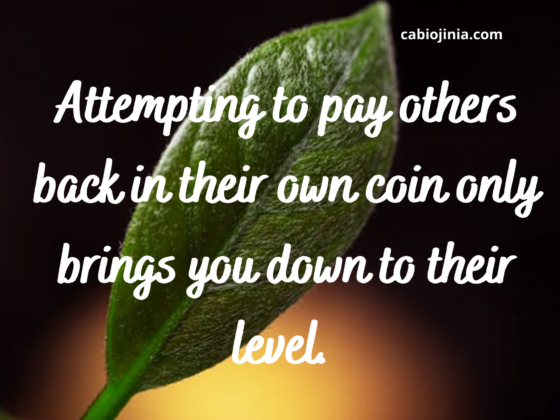 Attempting to pay others back in their own coin only brings you down to their level. Don't go low with them. Maintain your standard. by cabiojinia