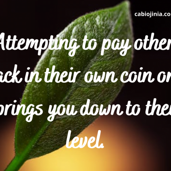 Attempting to pay others back in their own coin only brings you down to their level. Don't go low with them. Maintain your standard. by cabiojinia