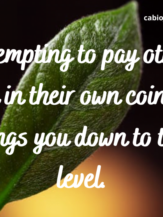 Attempting to pay others back in their own coin only brings you down to their level. Don't go low with them. Maintain your standard. by cabiojinia