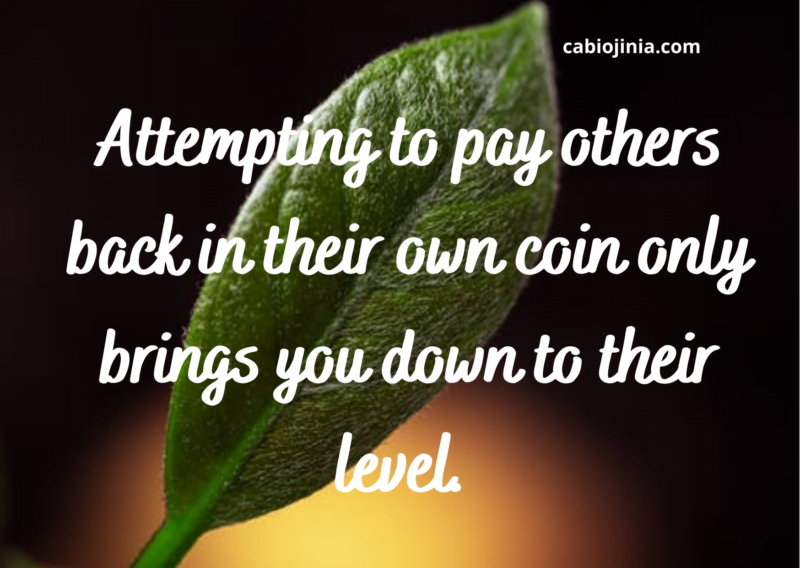 Attempting to pay others back in their own coin only brings you down to their level. Don't go low with them. Maintain your standard. by cabiojinia