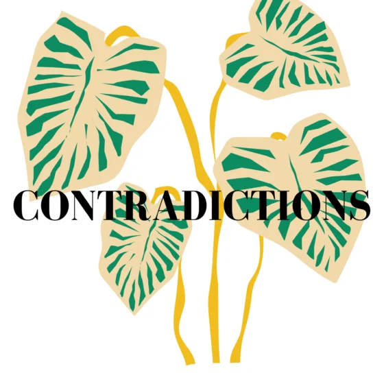 contradictions by cabiojinia