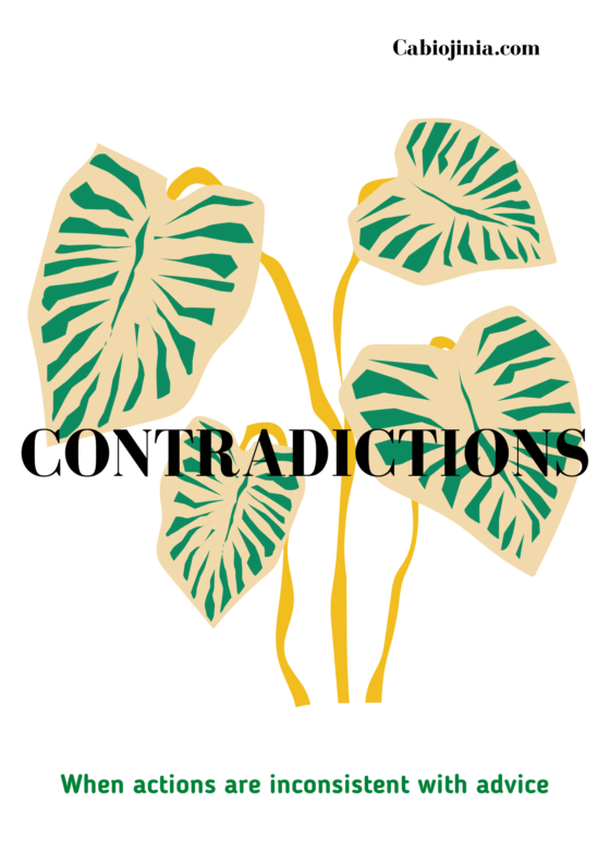 contradictions by cabiojinia