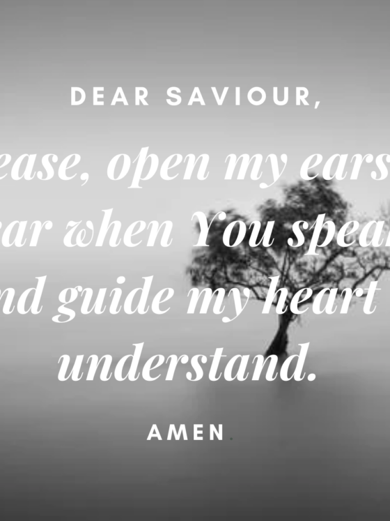Dear Saviour, Please, open my ears to hear when You speak. And guide my heart to understand. Amen. by cabiojinia