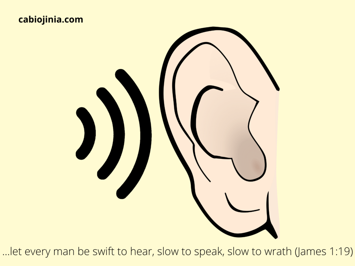 Building Followership: Why and How Successful Leaders build ...