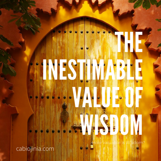 The inestimable value of wisdom by cabiojinia