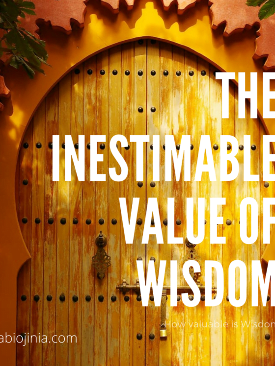 The inestimable value of wisdom by cabiojinia