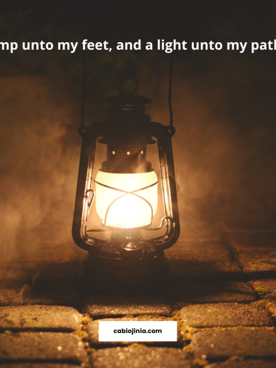 Thy word is a lamp unto my feet, and a light unto my path. Psalm 119:105