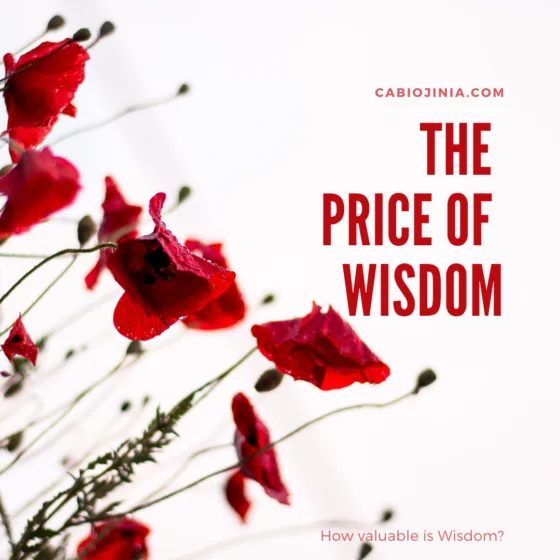 The Price of Wisdom by Cabiojinia