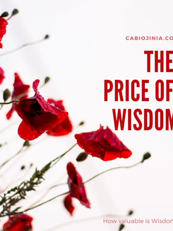 The Price of Wisdom by Cabiojinia