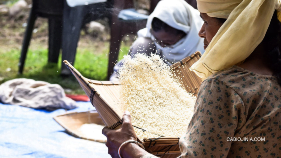 Understanding the Threshing Floor and her Importance. by Cabiojinia