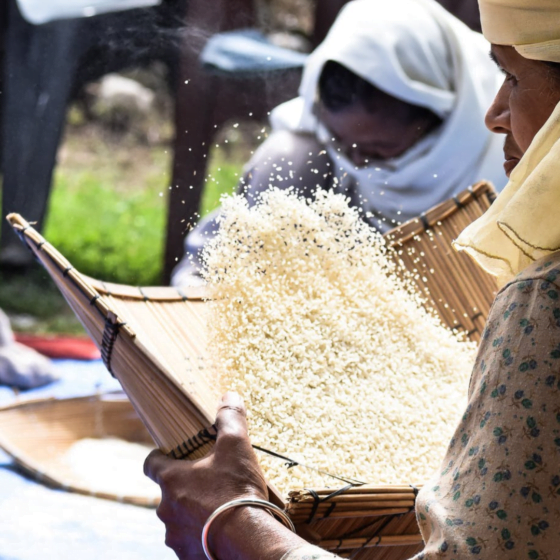 Understanding the Threshing Floor and her Importance. by Cabiojinia