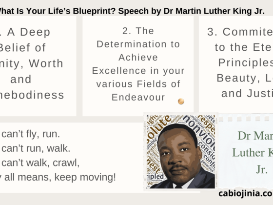 What Is Your Life’s Blueprint? Speech by Dr Martin Luther King Jr. by Cabiojinia