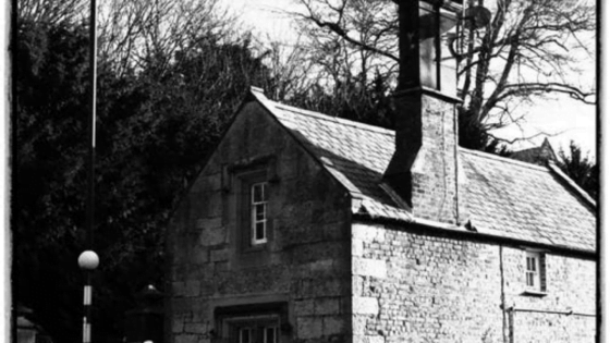 The Old Company Tasted Better Than This New One by Cabiojinia