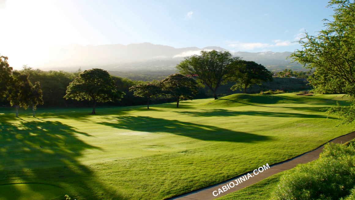 Threshing wheat at the winepress Gideon as a case study Cabiojinia