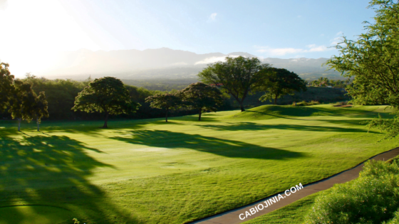 Threshing wheat at the winepress: Gideon as a case study by Cabiojinia