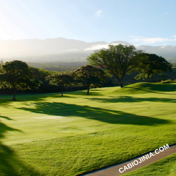 Threshing wheat at the winepress: Gideon as a case study by Cabiojinia