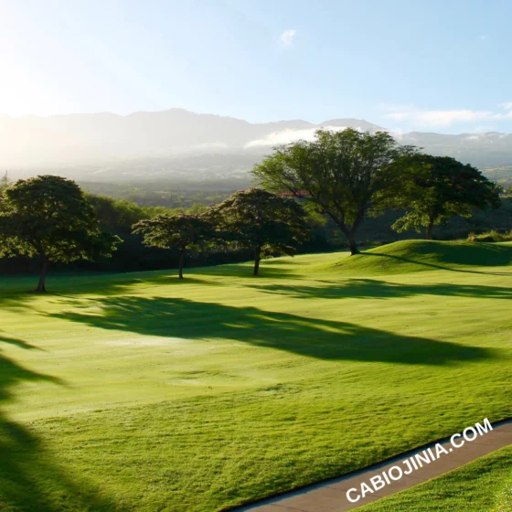 Threshing wheat at the winepress: Gideon as a case study by Cabiojinia