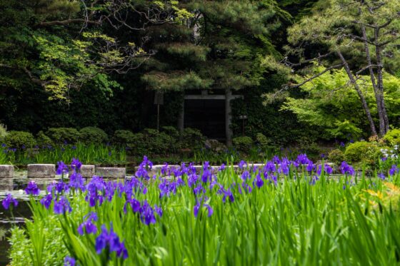 japan garden of silence