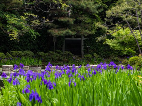 japan garden of silence