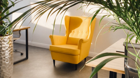 Five Categories of People| Coach Series 2. Cabiojinia