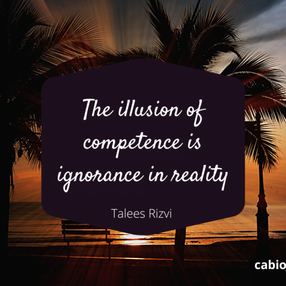 The illusion of competence is ignorance in reality by Talees Rizvi