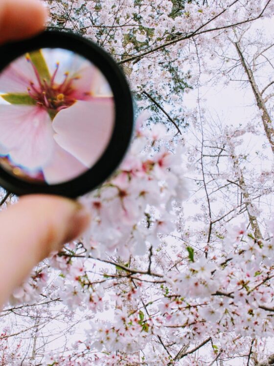 six reasons why you should define your core