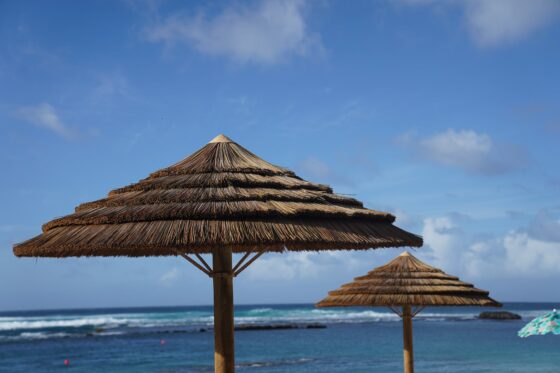 umbrella thatch