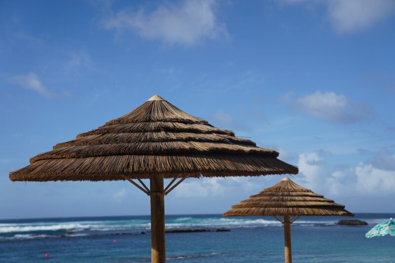 umbrella thatch
