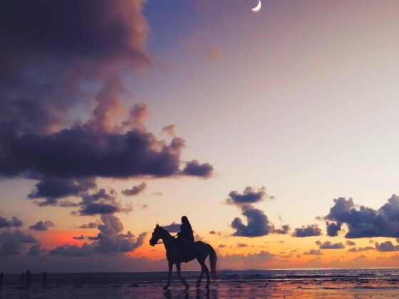 silhouette photo of person riding on horse under twilight sky