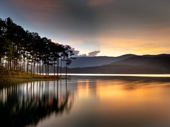 reflection of trees on body of water