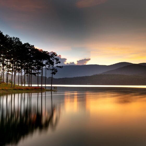 reflection of trees on body of water