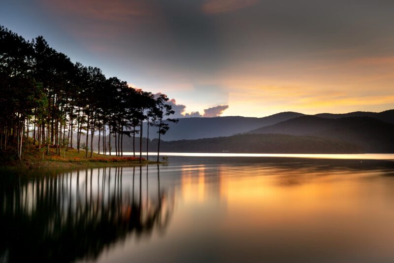 reflection of trees on body of water
