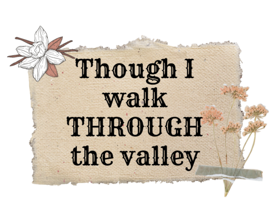 Though I walk through the valley of the shadow of death, I will fear no evil for thou art with me. Psalm 23:4