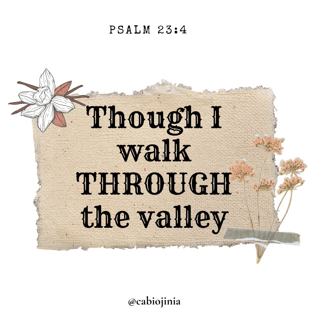 Though I walk through the valley of the shadow of death, I will fear no evil for thou art with me. Psalm 23:4