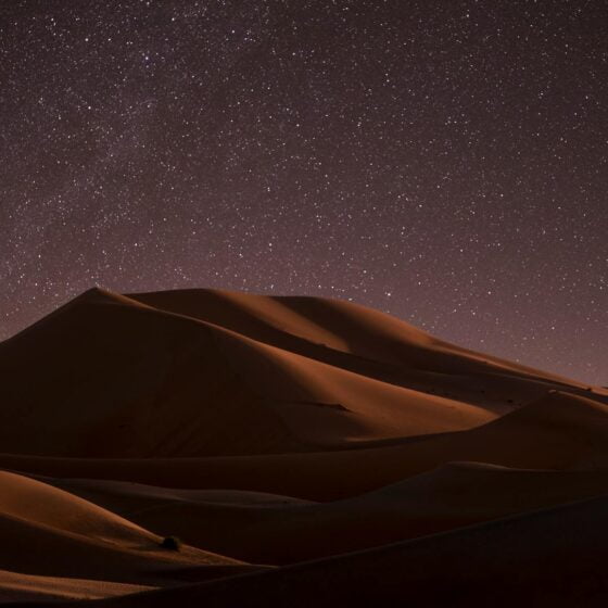 desert during nighttime