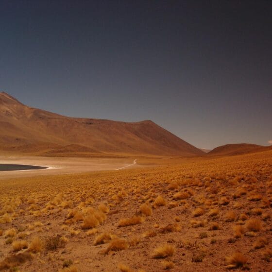 desert