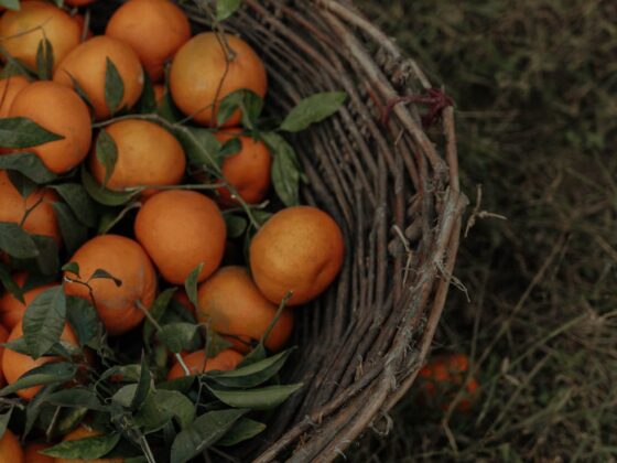 freshly picked mandarins in a basket