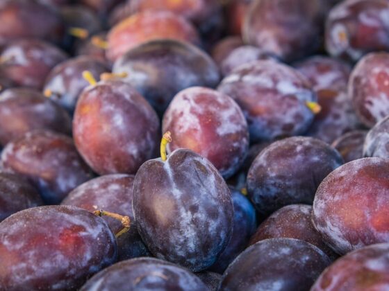 fresh fruit, plums, purple color, pile of fruit, fresh harvest, agriculture, fresh vitamin, natural foods, pesticide-free fruit, seasonal fruit, food market, agricultural produce, fruit stall, natural products, nutritional value, natural antioxidants, organic fruit, healthy lifestyle, vitamin c, agriculture activity, local produce