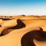 Golden sand dunes under a clear blue sky