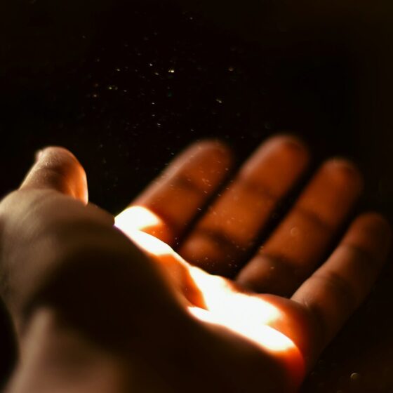 A person holding a hot dog in their hand