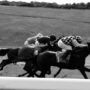 a group of people riding on the backs of horses
